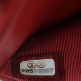 Chanel Classic Wallet on Chain_IMG_4639.jpg