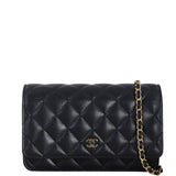 Chanel Classic Wallet on Chain_IMG_4718.jpeg