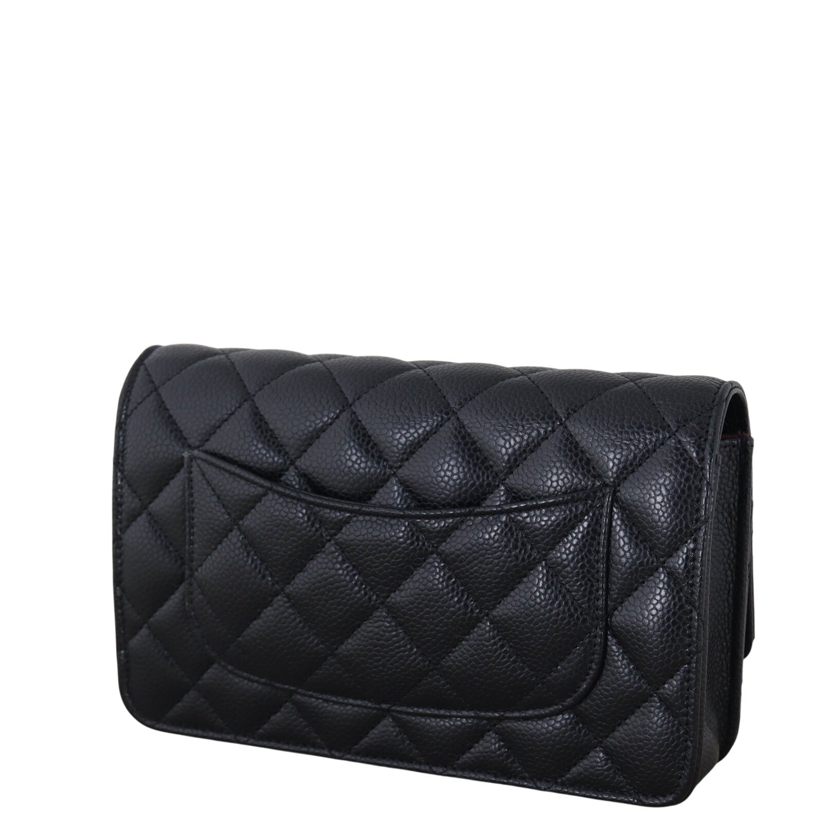 Chanel Classic Wallet on Chain_IMG_4719.jpeg