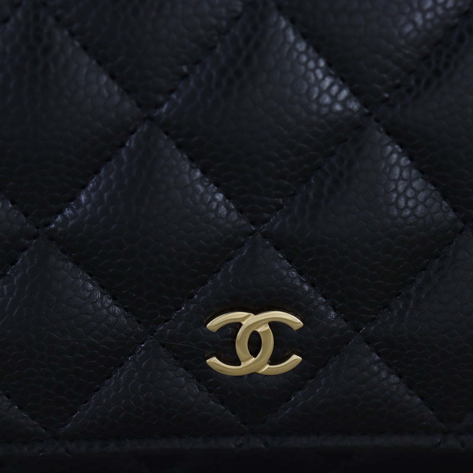 Chanel Classic Wallet on Chain_IMG_4721.jpg