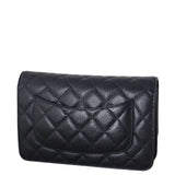 Chanel Classic Wallet on Chain_IMG_5058.jpeg
