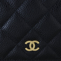 Chanel Classic Wallet on Chain_IMG_5060.jpg
