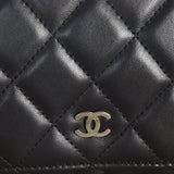 Chanel Classic Wallet on Chain_IMG_7919.jpg