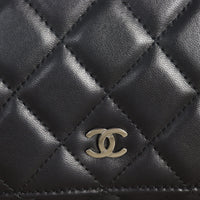 Chanel Classic Wallet on Chain_IMG_7919.jpg