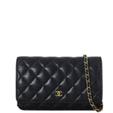 Chanel Classic Wallet on Chain_IMG_8448.jpeg