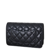 Chanel Classic Wallet on Chain_IMG_8449.jpeg