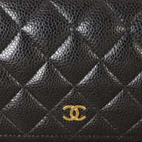 Chanel Classic Wallet on Chain_IMG_8451.jpg