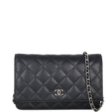 Chanel Classic Wallet on Chain_IMG_9642.jpeg