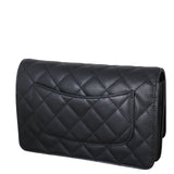 Chanel Classic Wallet on Chain_IMG_9643.jpeg