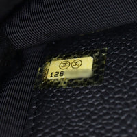 Chanel Classic Wallet on Chain_IMG_9647.jpg