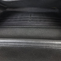 Chanel Classic Wallet on Chain_IMG_9649.jpg