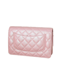 Chanel Classic Wallet on Chain_IMG_9715.jpeg