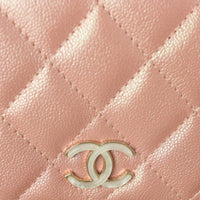 Chanel Classic Wallet on Chain_IMG_9721.jpg