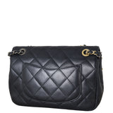 Chanel Coco Clips Flap Bag Small_IMG_0397.jpeg