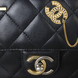 Chanel Coco Clips Flap Bag Small_IMG_0399.jpg