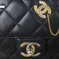 Chanel Coco Clips Flap Bag Small_IMG_0399.jpg