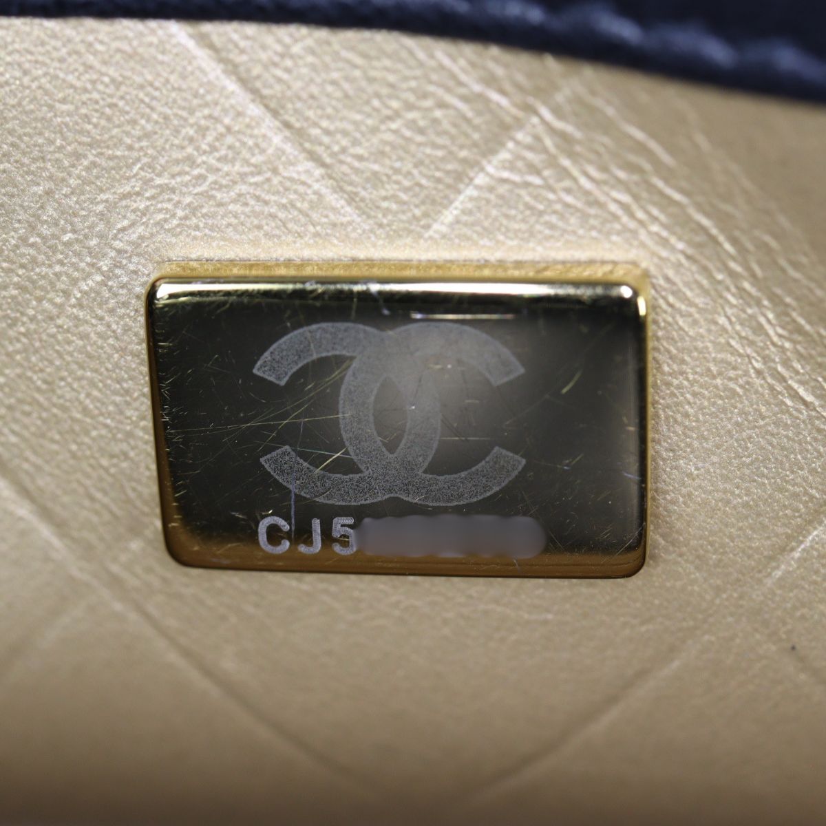 Chanel Coco Clips Flap Bag Small_IMG_0404.jpg