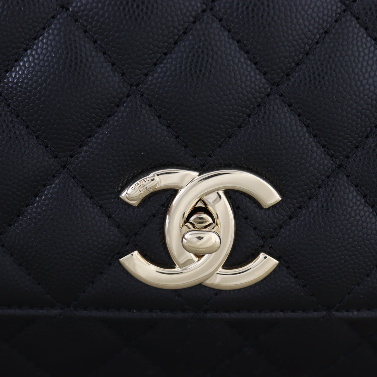 Chanel Coco Top Handle Flap Bag Medium_IMG_1925.jpg
