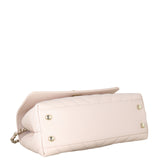 Chanel Coco Top Handle Mini Bag Chevron_IMG_2093.jpeg