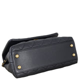Chanel Coco Top Handle Mini Bag_IMG_2736.jpeg