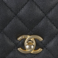 Chanel Coco Top Handle Mini Bag_IMG_2738.jpg