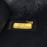 Chanel Coco Top Handle Mini Bag_IMG_2739.jpg