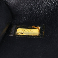 Chanel Coco Top Handle Mini Bag_IMG_2739.jpg