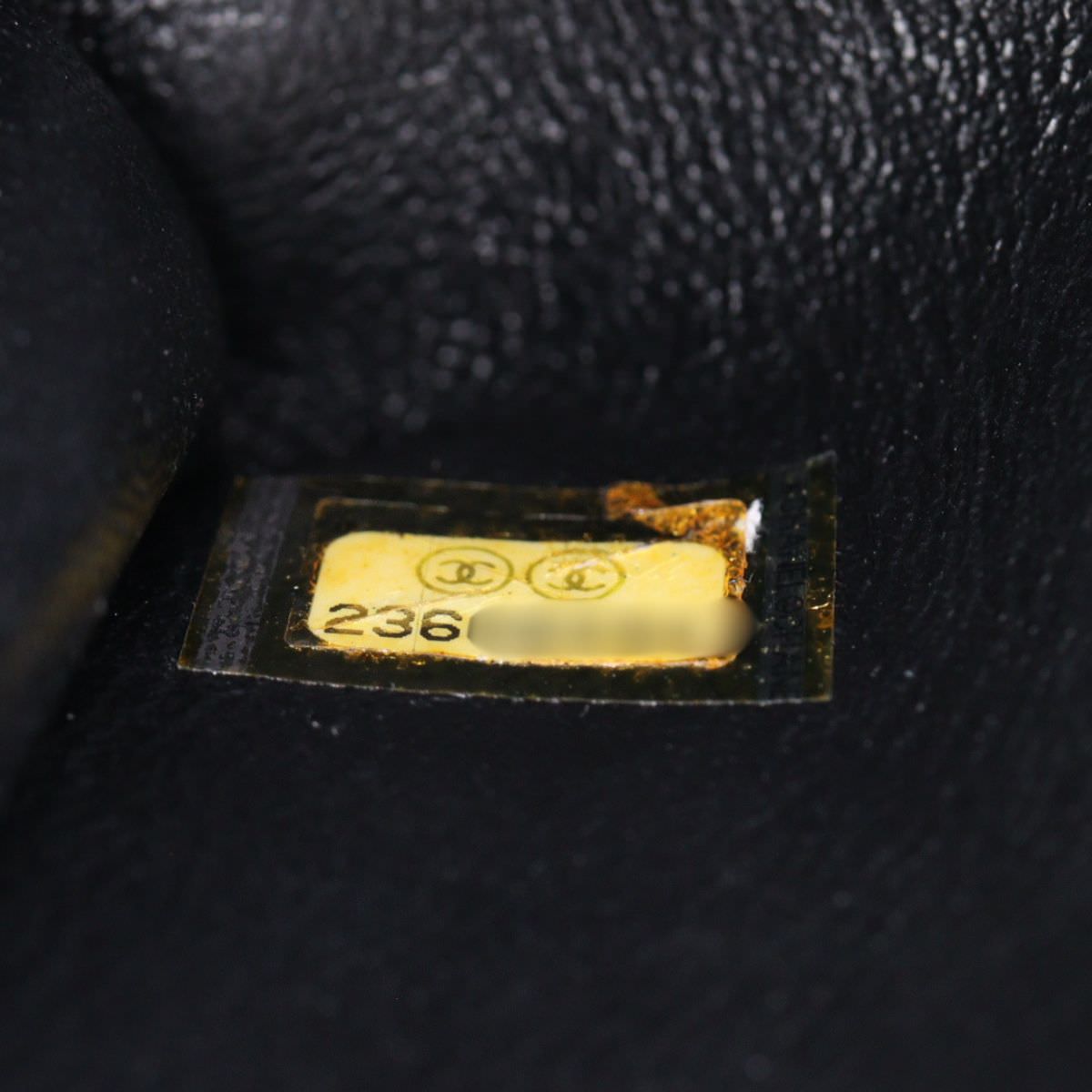 Chanel Coco Top Handle Mini Bag_IMG_2739.jpg