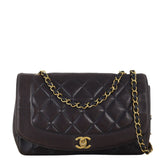 Chanel Diana Flap Bag Medium_IMG_7219.jpg