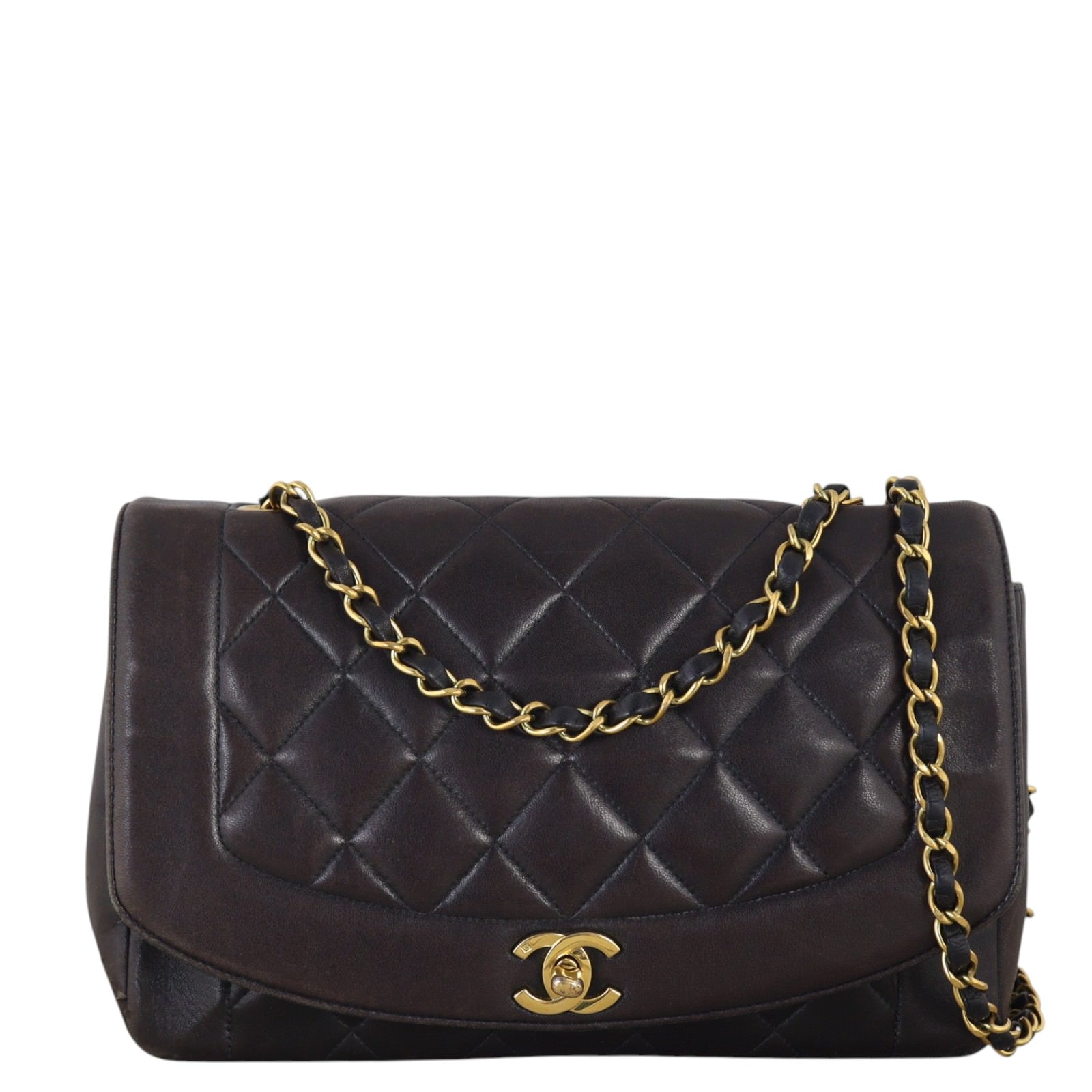 Chanel Diana Flap Bag Medium_IMG_7219.jpg