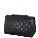 Chanel Diana Flap Bag Medium_IMG_7220.jpeg