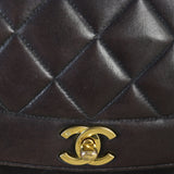 Chanel Diana Flap Bag Medium_IMG_7229.jpg