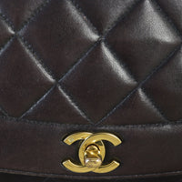 Chanel Diana Flap Bag Medium_IMG_7229.jpg