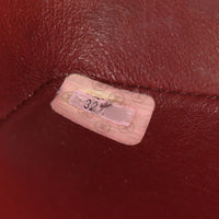 Chanel Diana Flap Bag Medium_IMG_7230.jpg