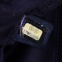 Chanel Grand Shopping Tote_IMG_7331.jpg