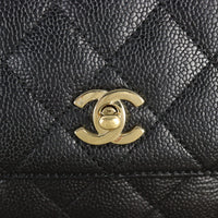 Chanel Kelly Satchel Caviar_IMG_4270.jpg