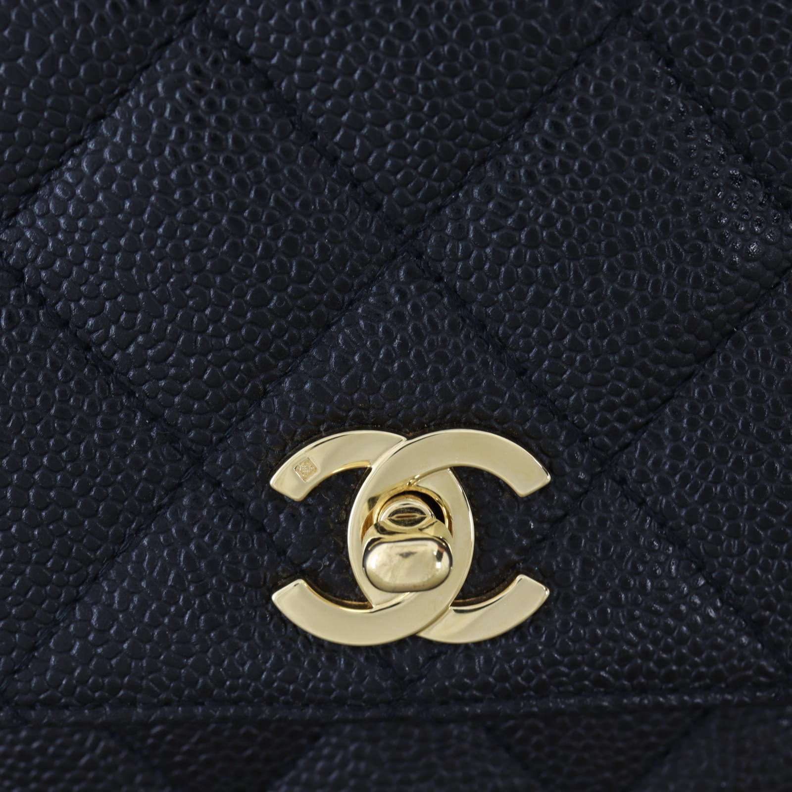 Chanel Kelly Satchel Caviar_IMG_4477.jpg