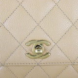 Chanel Kelly Satchel Caviar_IMG_5896.jpg