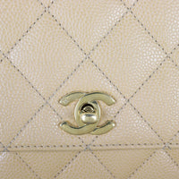 Chanel Kelly Satchel Caviar_IMG_5896.jpg
