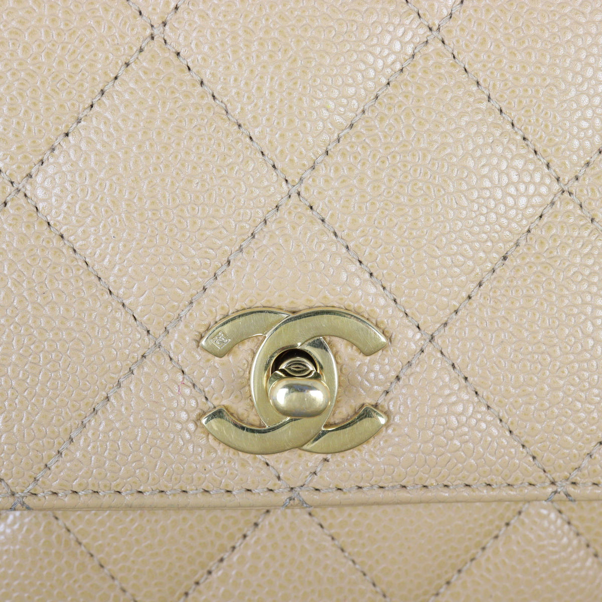 Chanel Kelly Satchel Caviar_IMG_5896.jpg