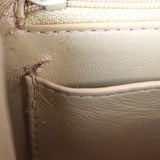 Chanel Kelly Satchel Caviar_IMG_6089.jpg