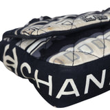 Chanel Le Train Flap Bag _IMG_7373.jpeg
