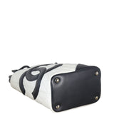 Chanel Ligne Cambon Tote Small_IMG_4221.jpeg