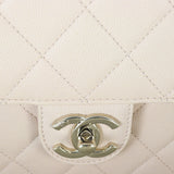 Chanel Like a Wallet Small Flap Bag_IMG_6779.jpg