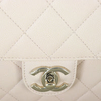 Chanel Like a Wallet Small Flap Bag_IMG_6779.jpg