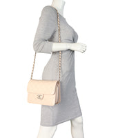Chanel Like a Wallet Small Flap Bag_IMG_IMG_6895.jpeg