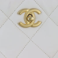 Chanel Logo Strap Fold Over Bag_IMG_3693.jpg