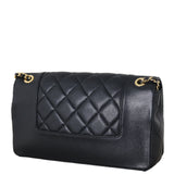 Chanel Mademoiselle Flap Bag Medium_IMG_4973.jpeg