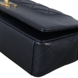 Chanel Mademoiselle Flap Bag Medium_IMG_4976.jpeg