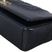 Chanel Mademoiselle Flap Bag Medium_IMG_4976.jpeg